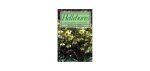 Ahlburg, Marlene Sophie - Hellebores: Christmas Rose, Lenton Rose