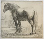 Vlieger, Simon de (ca. 1601-1653) - [Antique print, etching] Draught-horse next to a fence/Trekpaard naast een hek, 1600-1650.