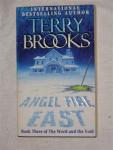 Brooks, Terry - Book three of The World and the Void: Angel Fire East
