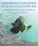 Rolf Brummel, Royan van Velse - Onderwaterleven in de Middellandse Zee