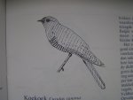Dijk, Jelle van e.a. (eindredactie) - Randstad en Broedvogels