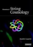 Maurizio Gasperini 51940 - Elements of string cosmology