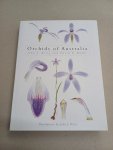 RILEY, JOHN J [ILLUSTRATOR] & BANKS, DAVID P - Orchids Of Australia
