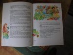 NBG - Startbijbel