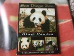  - Giant Pandas - San Diego Zoo