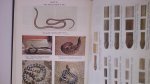 Brown, R.B. (foreword) - Poisonous Snakes of the World  a Manual for use by U.S. Amphibious Forces