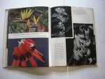 Savonius, Moira - All color book of Flowers (100 color photograps of spectacular flowers of the world)