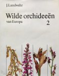 [{:name=>'Landwehr', :role=>'A01'}] - 2 Wilde orchideeen van europa