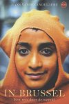 Hans Vandecandelaere - In Brussel