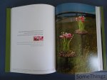 Pim van den Akker en Martien de Man (fotograf.) - Floral design. [Tekst in NL en ENG.]