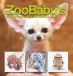 Andrew Bleiman - ZooBaby's