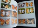 Migdoll, Ivor - Field Guide to the Butterflies of Southern Africa