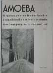 Mulder Piet - Amoeba Orgaan van de Nederlandse Jeugdbond voor Natuurstudie 20e jaargang no 1 januari 1941