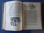 Grimmelshausen, J.J.C. von. - Der abentheuerliche Simplicissimus. Der Roman des dreissigjährigen Krieges. Bearbeitet und eingeleitet von Hans W. Fischer. Mit vielen Zeichnungen von Hans Sauerbruch