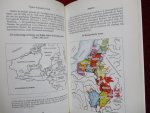 Maskens, Alain. - Mono-Vlamingen en mono-Walen? Dwaalwegen en gevaren van mono-identitaire ideologiën.
