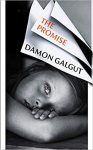 Galgut, Damon - (1) The Promise