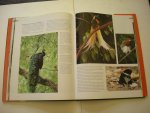 Oldfield, S. tekst / The Bruce Coleman Coll. fotogr./ Rook,R. vert. - Regenwouden van de Wereld Oldfield, S. tekst / The Bruce Coleman Coll. fotogr./ Rook,R. vert. - Regenwouden van de Wereld