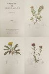 HUMBOLDT,  ALEXANDER VON &  AIME BONPLAND. - Nova genera et species plantarum.   [ Voyages de Humboldt & Bonpland. Voyages aux Régions Equinoxiales du Nouveau Continent -  Sixième Partie - Section III]. TOME 4 [Quatrième]   -- ONLY VOLUME 4