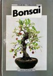 Anne Swinton - Bonsai