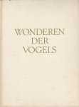 Rensenbrink, Han - Wonderen der vogels