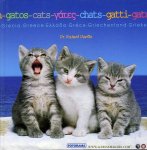 DEVILLE, Richard - Cats - Gatos - Chats - Gatti - Gatu / Grekland - Grecia - Greece - Griechenland Griekenland