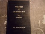 Kieboom A. - Wonderen des Allerhoogsten