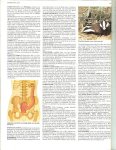 Div Auteurs...In de auto - accu, die eigenlijk accu - batterij genoemd zou moeten worden - Duizend blad. Veemarkt in Asmara, en Assisi,stad in Italie - Moderne Nederlandse Encyclopedie in kleuren : de meest voorkomende typen aftekeningen bij koeien,blaarkop en witkop. Druktechnieken, In Bolsward een van de elf steden van Friesland, bevindt zich de grote of St Maartenskerk. En de infrastructuur
