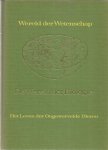 Basford / Kogan  -  hoofdredactie - Het leven der ongewervelde dieren - Wereld der Wetenschap - De wereld der Biologie