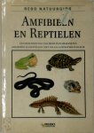 Lanka - Amfibieen en reptielen