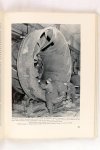 Flaaten, Eivind - Norway Survey of Exports (3 foto's)