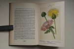 Bruinsma , Dr. Vitus ; Uildriks, F.J. van; - De mooiste en meest gebruikte Tuinbloemen  Onze Bloemen In de Tuin  met 160 Gekleurde Platen (zie de foto's)