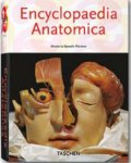 Museo La Specola Florence - Encyclopaedia Anatomica / A Collection Of Anatomical Waxes.