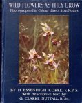 ESSENHIGH CORKE, H., - wild flowers as they grow