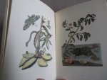 Vries, Leonard de - De Exotische kunst van maria sibylla merian