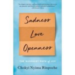 Chokyi Nyima Rinpoche - Sadness, Love, Openness