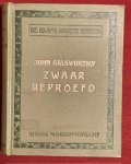 Galsworthy, J. - Zwaar beproefd (Saint's progress) : roman