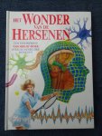 Bryan, Jenny. - Het wonder van de hersenen. Een fascinerend "doorkijk"-boek over de menselijke hersenen.