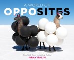 Gray Malin - A World of Opposites