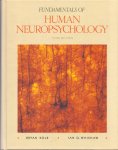 Kolb, Bryan & Whishaw, Ian Q. (ds1376) - Fundamentals of Human Neuropsychology