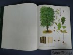 Philippe Blerot et Jean-Pierre Lambot (coord. générale.) - Le grand livre de la forêt wallonne.