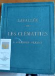 Lavallee, Alphonse - Les Clematites a Grandes Fleurs, Clematides Megalanthes. Description et Iconographie