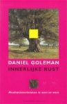 Daniel Goleman, Mirjam Westbroek - Innerlijke rust meditatietechnieken in oost en west