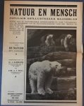 PROSPECTUS. - Prospectus Drukkerij-Uitgeverij De Hofstad, Den Haag. Natuur en Mensch, populair geillustreerd maandblad.