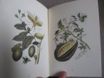 Vries, Leonard de - De Exotische kunst van maria sibylla merian