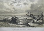 Zimmermann, W.F.A., - De wonderen der voorwereld. Een populaire voorstelling van de geschiedenis der schepping.en den oorspronkelijken toestand der aarde.