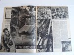 Indie Artikel - Eereveld Tjililitan, 1pp, Artikel Het geheimzinnige eiland, Pater H. Geurtjens over Nieuw Guinea, 4pp