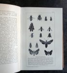 kirchner, o. - Blumen ind Insekten. Ihre Anpassungen aneinander und ihre gegenseitige Abhängigkeit