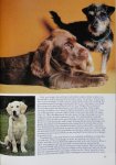 Sayer, Angela - Everyone`s book of puppies