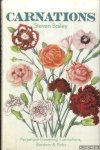 Bailey, Steven - Carnations