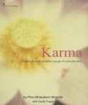 Phra Bhasakorn Bhavilai &  David Freyer - Karma A new look at the Buddhist concept of cause and effect